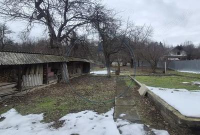 Casă cu Teren 3800 Mp în Prundu Bârgăului - 2