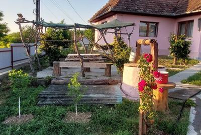 Casă cu 2 camere cu Teren 1400 Mp în Central - 8