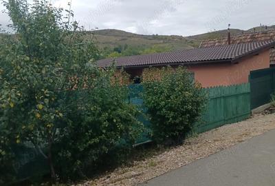 Casă cu 2 camere în Gădălin - 1