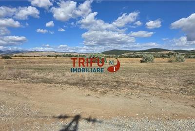 Teren de 5800 mp, în Cetate
