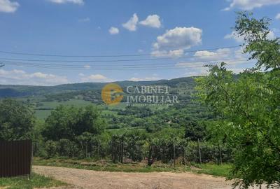 Casă individuală cu 5 camere cu Canalizare în Hilița - 7
