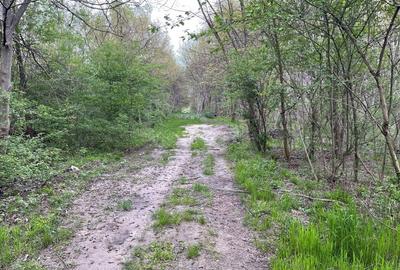 Teren intravilan de 755 mp, în Ostroveni - 8