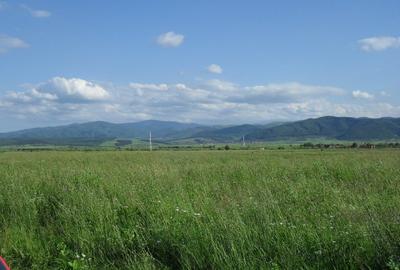 Teren agricol extravilan de 2600 mp, în Cristian - 1