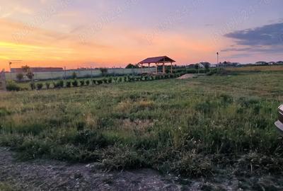 Teren de 652 mp, în Torontalului - 5