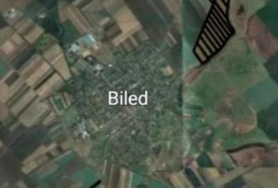 Teren de 103 mp, în Biled - 12