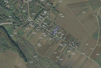 Casă cu 3 camere cu Teren 2000 Mp în Talpa - 11