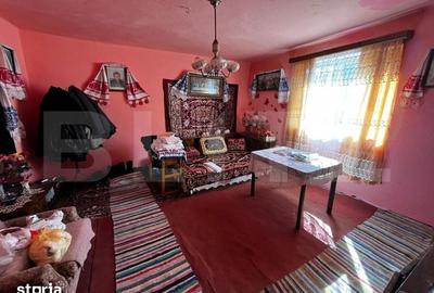 Casă cu 3 camere cu Teren 2500 Mp în Mihai Viteazu