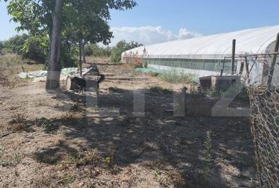 Casă cu 3 camere în Războieni-Cetate