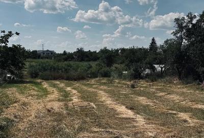 Teren de 1493 mp, în Central