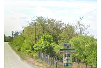 Teren Construcții intravilan de 3000 mp, în Topalu - 7