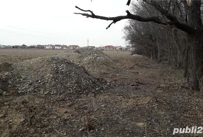 Teren de 1000 mp, în Băile Felix - 2