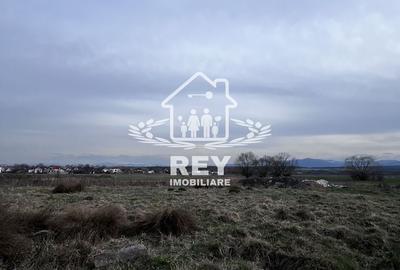 Teren agricol extravilan de 7500 mp, în Turnișor - 1