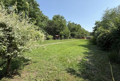 Casă cu 2 camere în Zimandcuz - 1