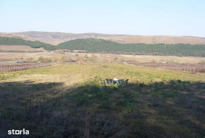 Teren de 10800 mp, în Căpușu Mare - 3