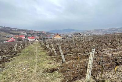 Teren de 2617 mp, în Tomești