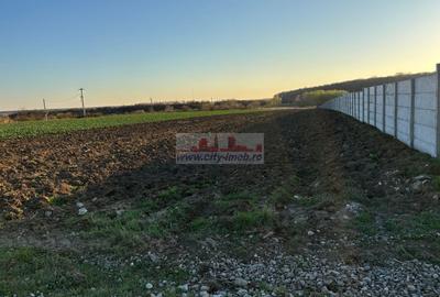 Teren Construcții intravilan de 3784 mp, în Izvorani - 4