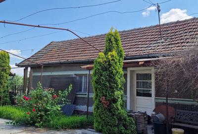 Casă cu 4 camere în Zărand - 3