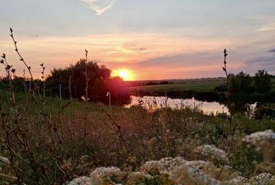 Teren de 1000 mp, în Corbeanca