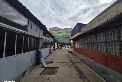 Spațiu comercial, în Iancului