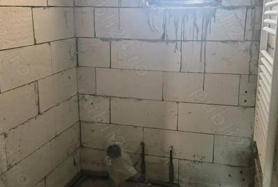 Casă cu 3 camere în Fibiș - 5
