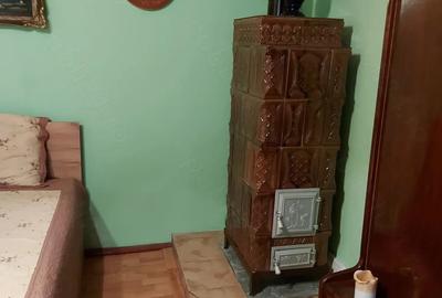 Casă cu 3 camere cu Teren 4000 Mp în Zimbor - 7