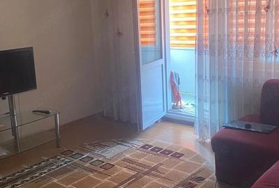 Apartament cu 2 camere semidecomandat în Prundu - 4