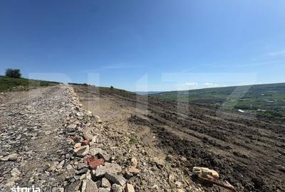 Teren de 5100 mp, în Chinteni