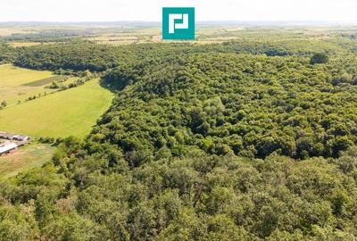 Teren agricol extravilan de 22900 mp, în Exterior Sud - 16