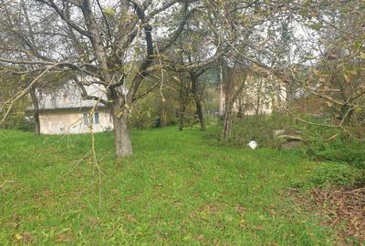 Casă cu 4 camere în Vișeu de Jos