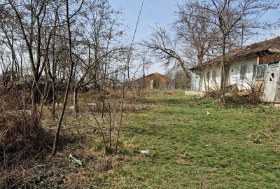 Casă cu 2 camere în Costești