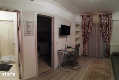 Garsonieră în Central