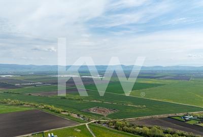 Teren Construcții intravilan de 963 mp, în Hălchiu - 12