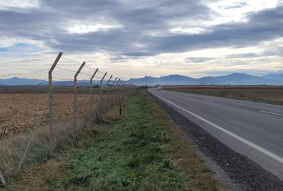 Teren Construcții intravilan de 14450 mp, în Feldioara - 1
