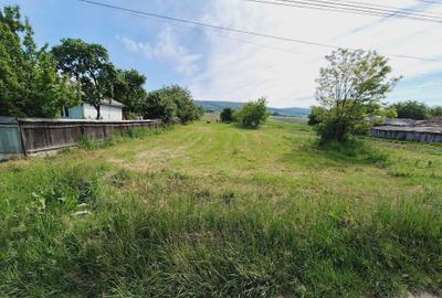 Teren de 4500 mp, în Siliștea