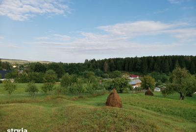 Teren de 7410 mp, în Cornu Luncii - 8