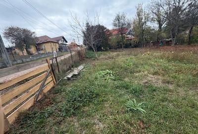 Casă cu 4 camere în Turea