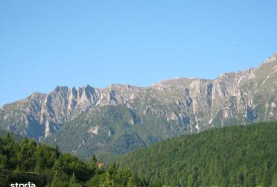 Teren de 10000 mp, în Forban - 6