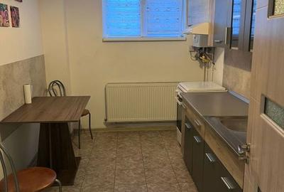 Garsonieră decomandată în Craiovița Nouă - 8