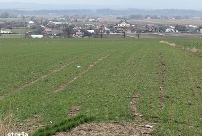 Teren de 3255 mp, în Grănicești - 8