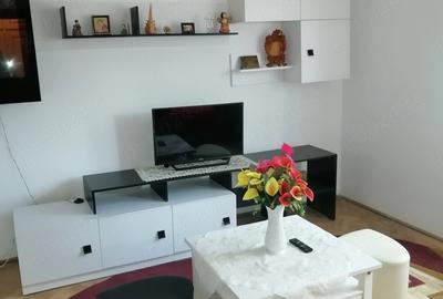 Apartament cu 2 camere semidecomandat în Podgoria - 5