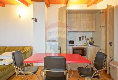 Casă individuală cu 11 camere cu Teren 789 Mp în Florilor - 36