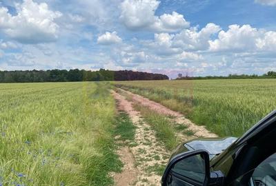 Teren agricol extravilan de 62600 mp, în Albota - 13
