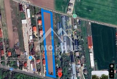 Teren Construcții intravilan de 5000 mp, în Ciorogârla - 3