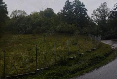 Teren de 6385.6 mp, în Berislăvești - 5