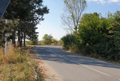 Teren Construcții extravilan de 18000 mp, în Balotești - 3
