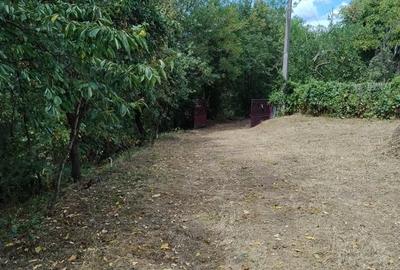 Casă cu 4 camere în Măldărești - 5