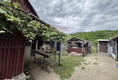 Casă cu 4 camere în Vale - 3