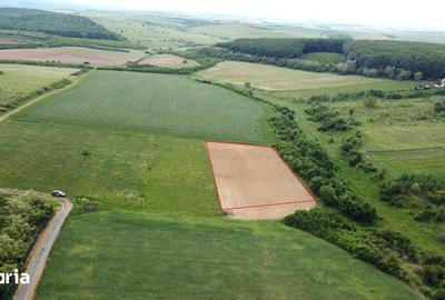 Teren de 2935 mp, în Viile Satu Mare - 2