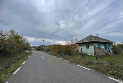Teren Construcții intravilan de 6975 mp, în Moșoaia - 2