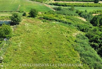 Teren Construcții intravilan de 7500 mp, în Râureni - 7